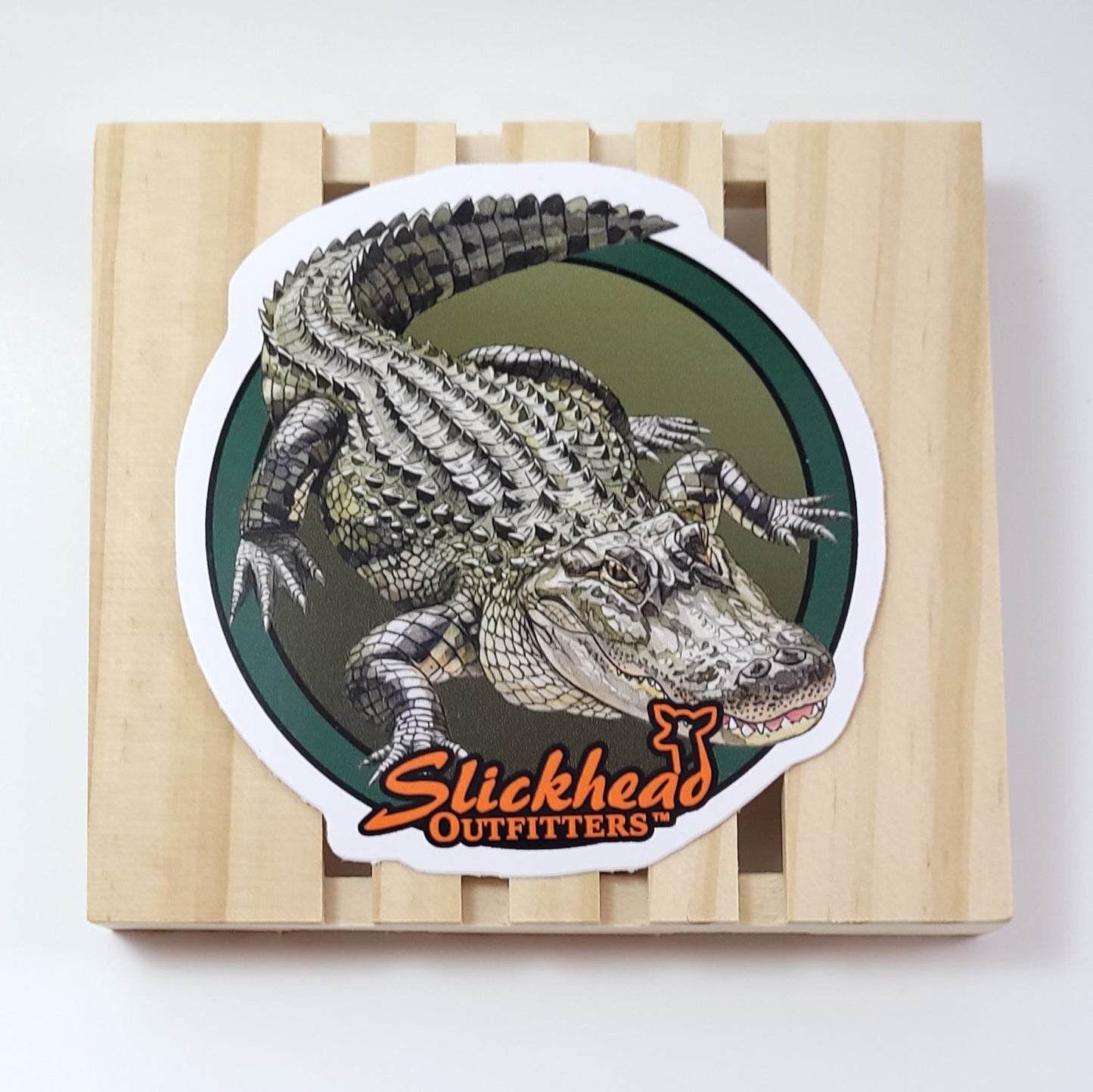 3" Alligator Sticker